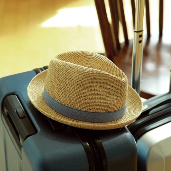 Gabi Raffia Crochet Fedora Hat - Image 2